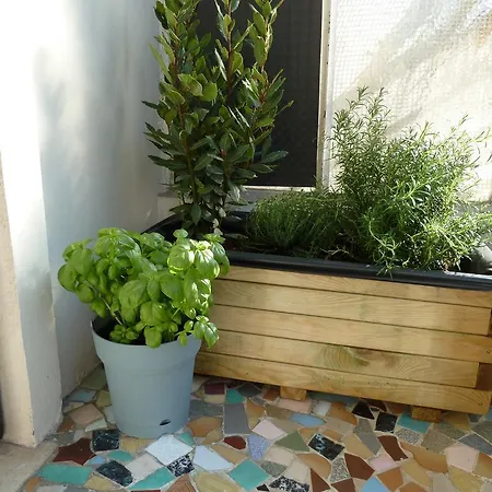 Apartment Les Floralies Antibes
